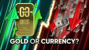 [VIDEO] Gold or currency: which is more reliable?